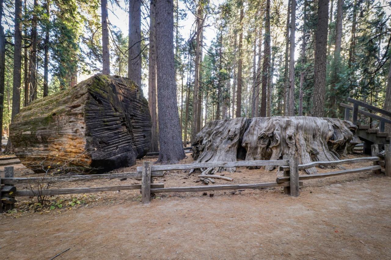 Hikers Haven Villa Арнолд Екстериор снимка