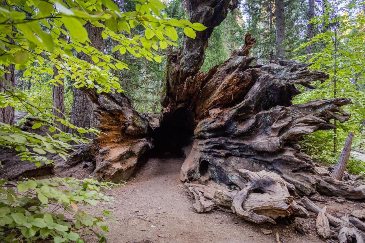 Hikers Haven Villa Арнолд Екстериор снимка